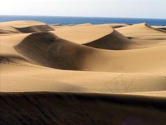 Dünen von Maspalomas - Gran Canaria